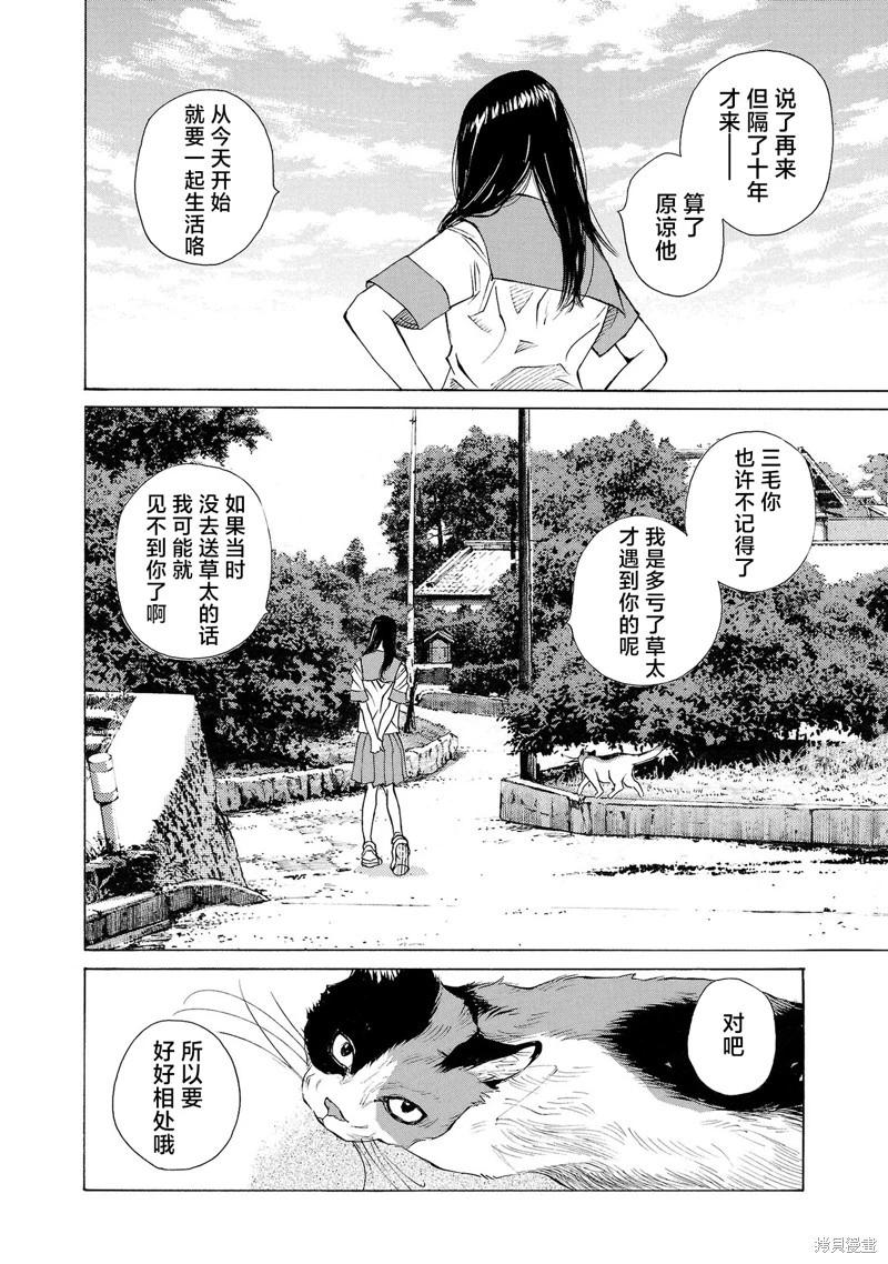 海島與少女還有貓 - 第65話 - 5