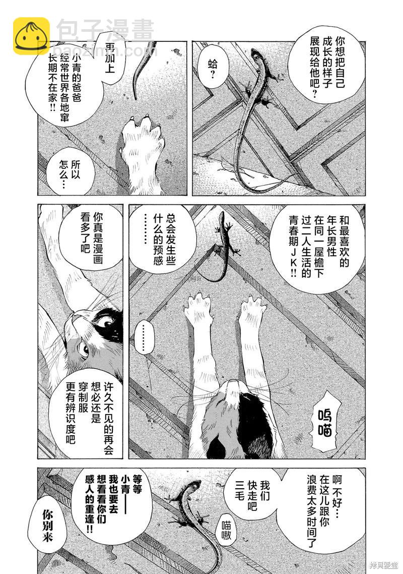 海島與少女還有貓 - 第65話 - 2