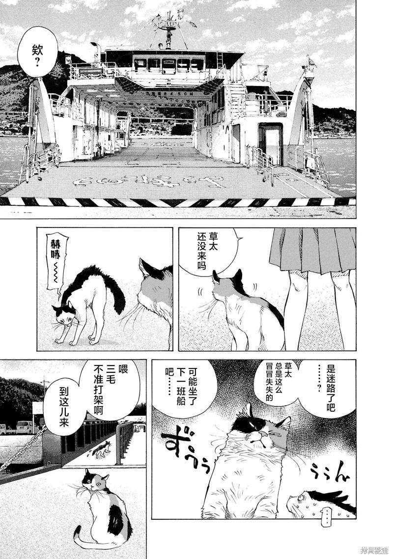 海島與少女還有貓 - 第65話 - 3