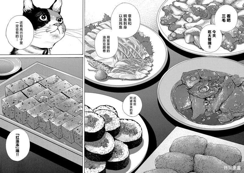 海島與少女還有貓 - 第65話 - 2