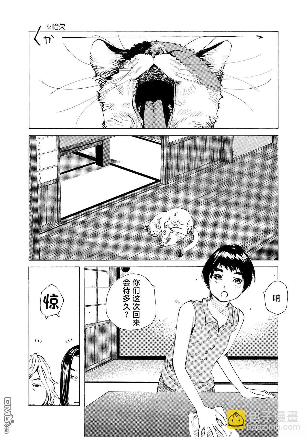 海島與少女還有貓 - 第71話 - 2