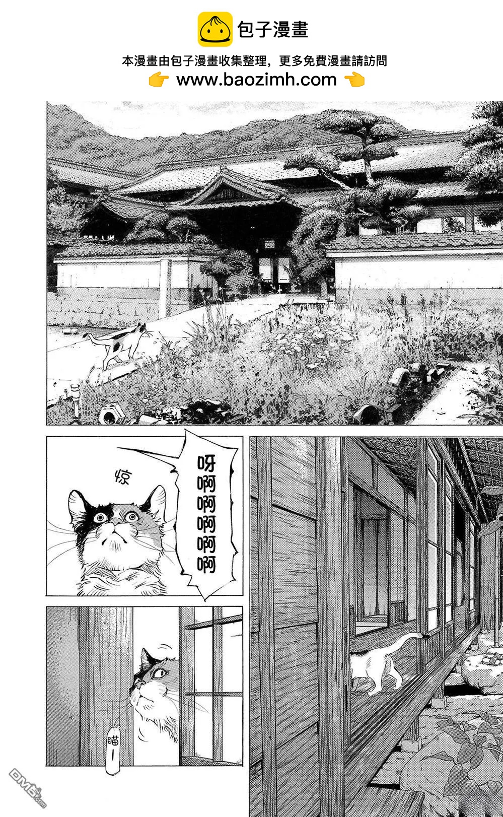 海島與少女還有貓 - 第73話 - 4