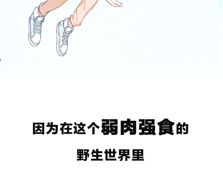 序章 最萌柯基组战队！-第1话