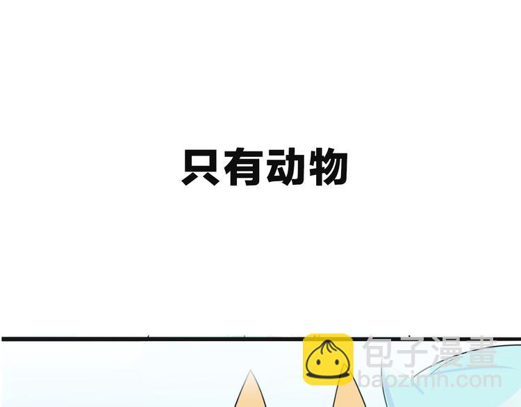 序章 最萌柯基组战队！-第1话