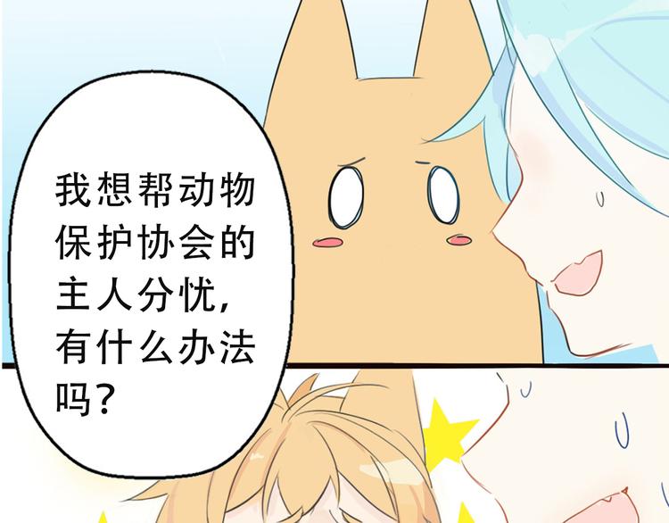 序章 最萌柯基组战队！-第1话