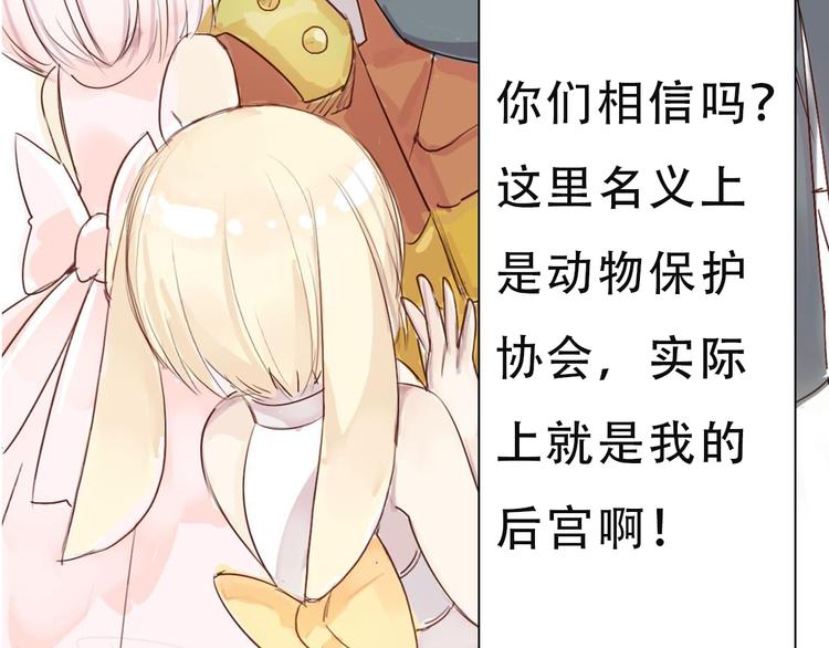 序章 最萌柯基组战队！-第1话