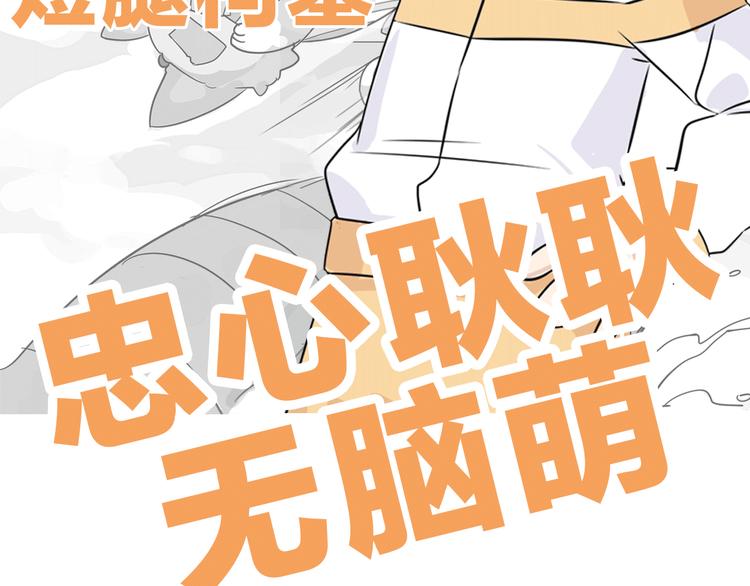 序章 最萌柯基组战队！-第1话