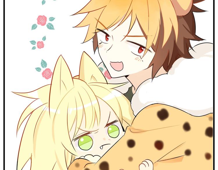 第12话 偷猎者？！(1/3)-第13话