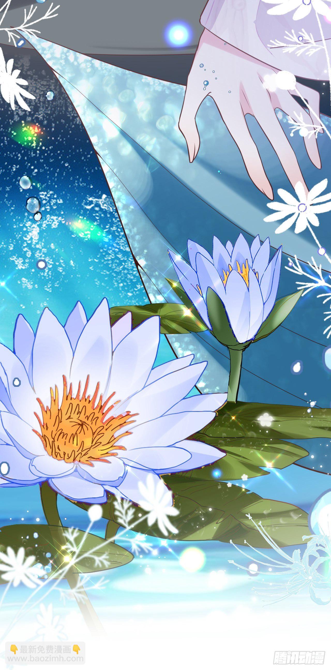 海王奶奶三千寵 - 圍剿鸞鳳宗？刺激啦(2/2) - 4