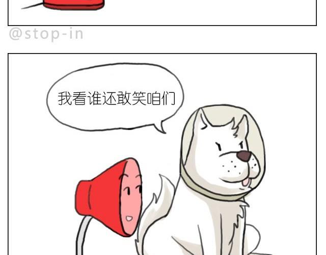 你胖不胖我说了算-第31话