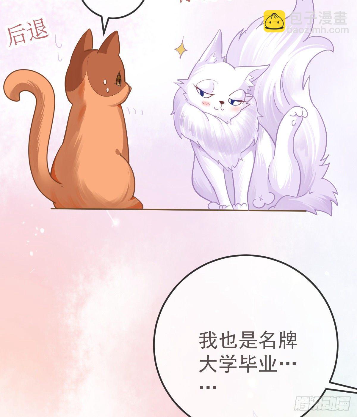 第36话 不愧是专业的-第37话