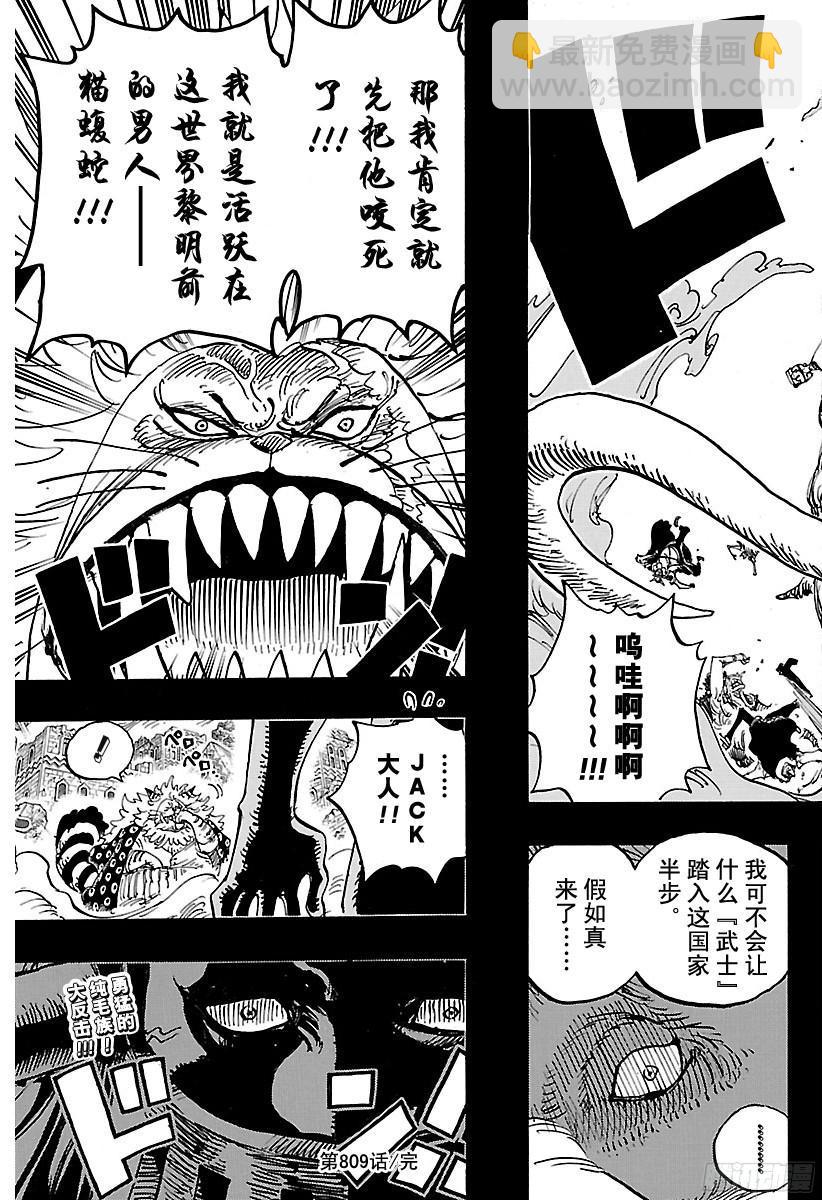 航海王 - 第809話 貓蝮蛇老大 - 3