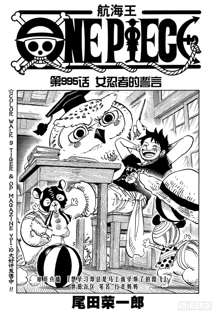 航海王 - 第995話 女忍者的誓言 - 1