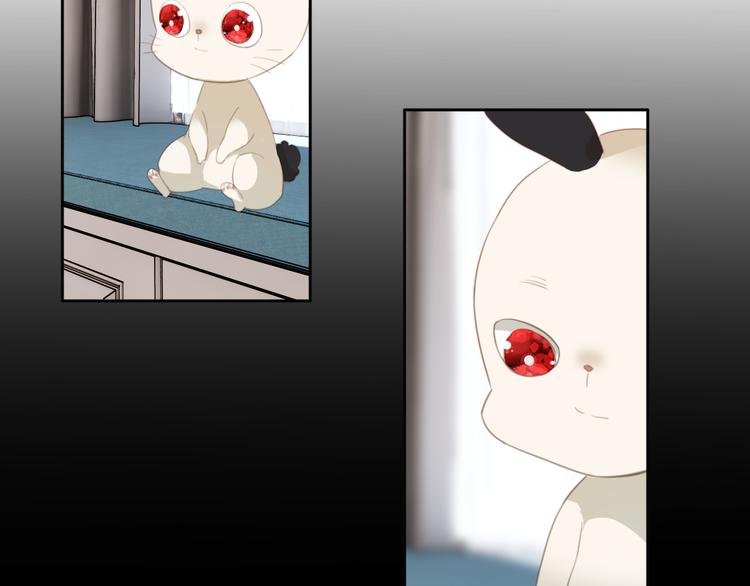 第15话：你就要忘记我了(1/2)-第15话