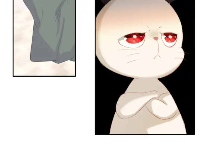 第27话：给花花的礼物。(1/2)-第27话