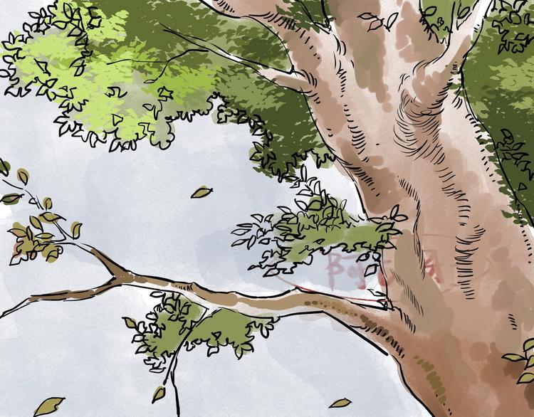 第21话  命定之人(1/2)-第23话