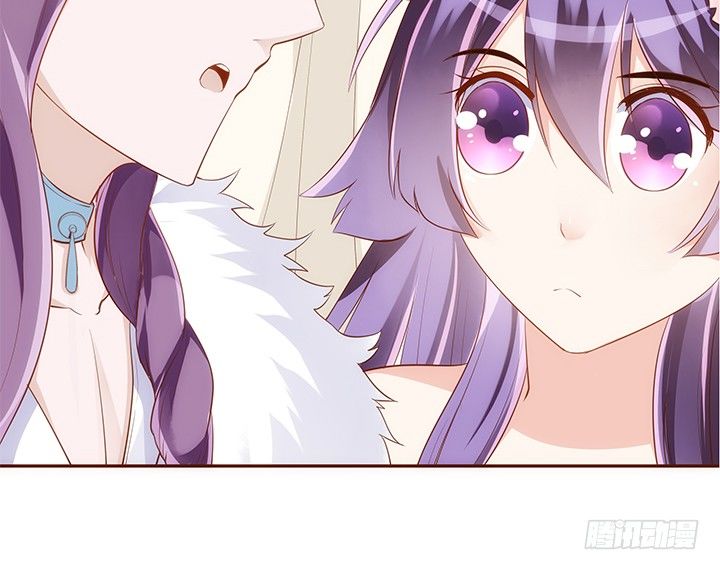 14话 你家有只怪猫(1/2)-第15话