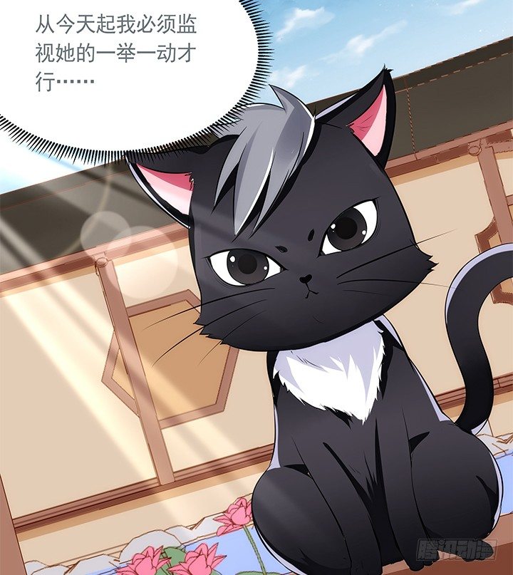 38话 嘿，有只小黑猫！(1/2)-第39话