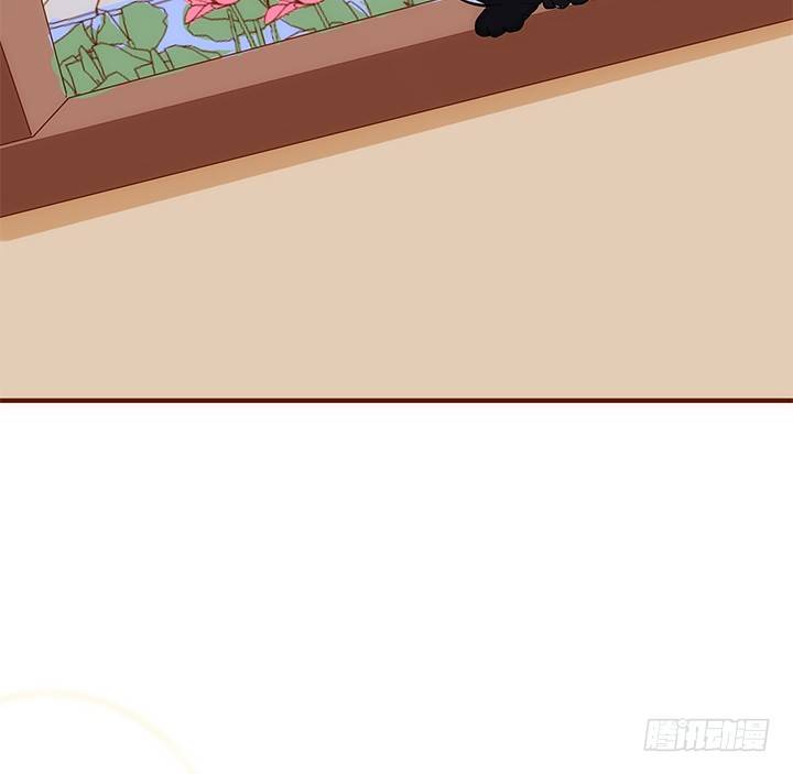 38话 嘿，有只小黑猫！(1/2)-第39话