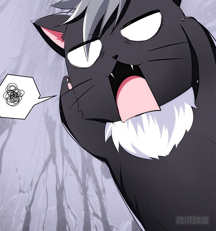 38话 嘿，有只小黑猫！(1/2)-第39话