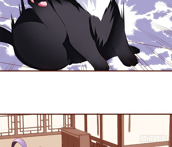 38话 嘿，有只小黑猫！(1/2)-第39话