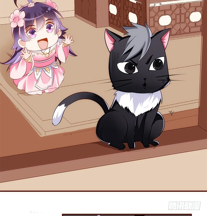 38话 嘿，有只小黑猫！(1/2)-第39话