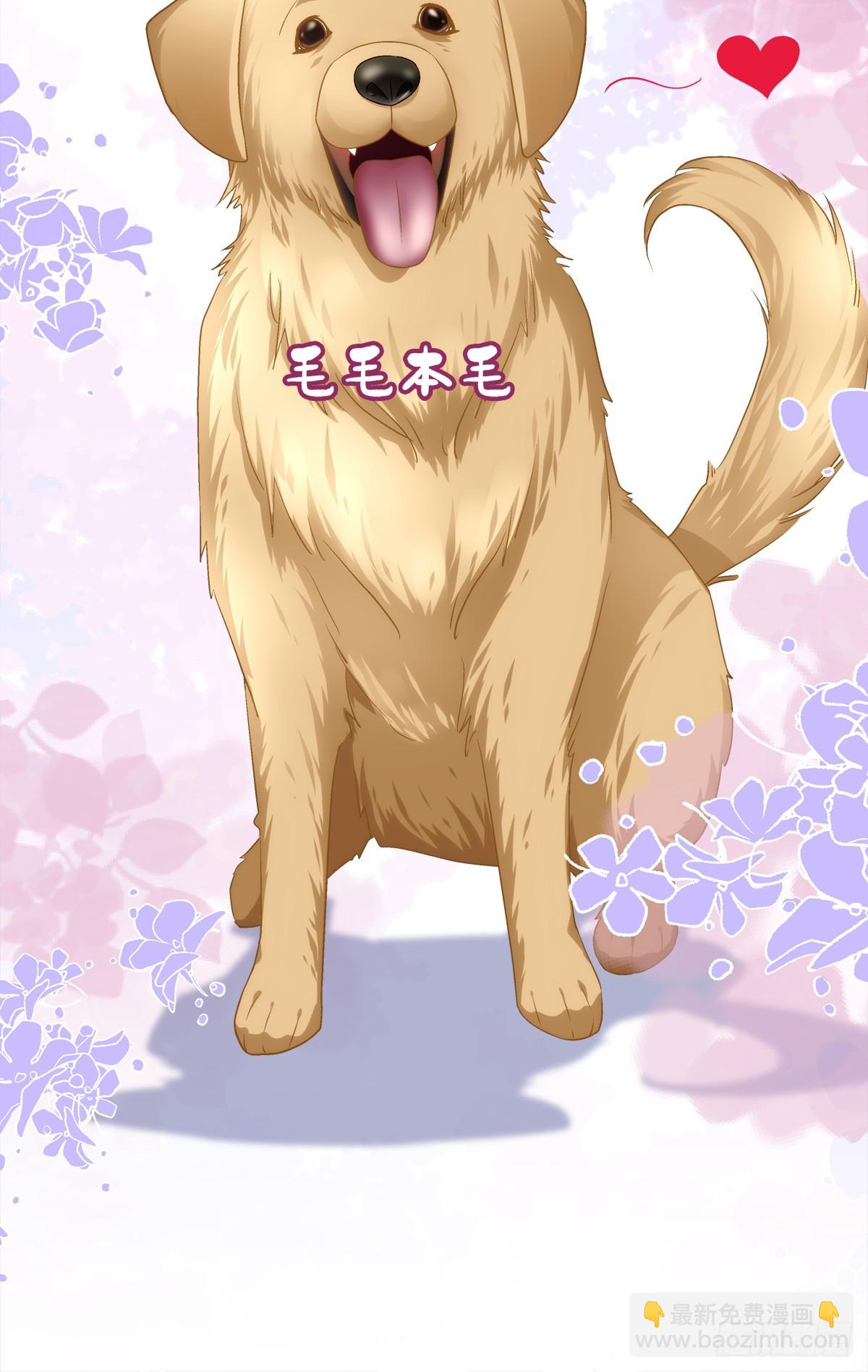 又见洛青芒！-第77话