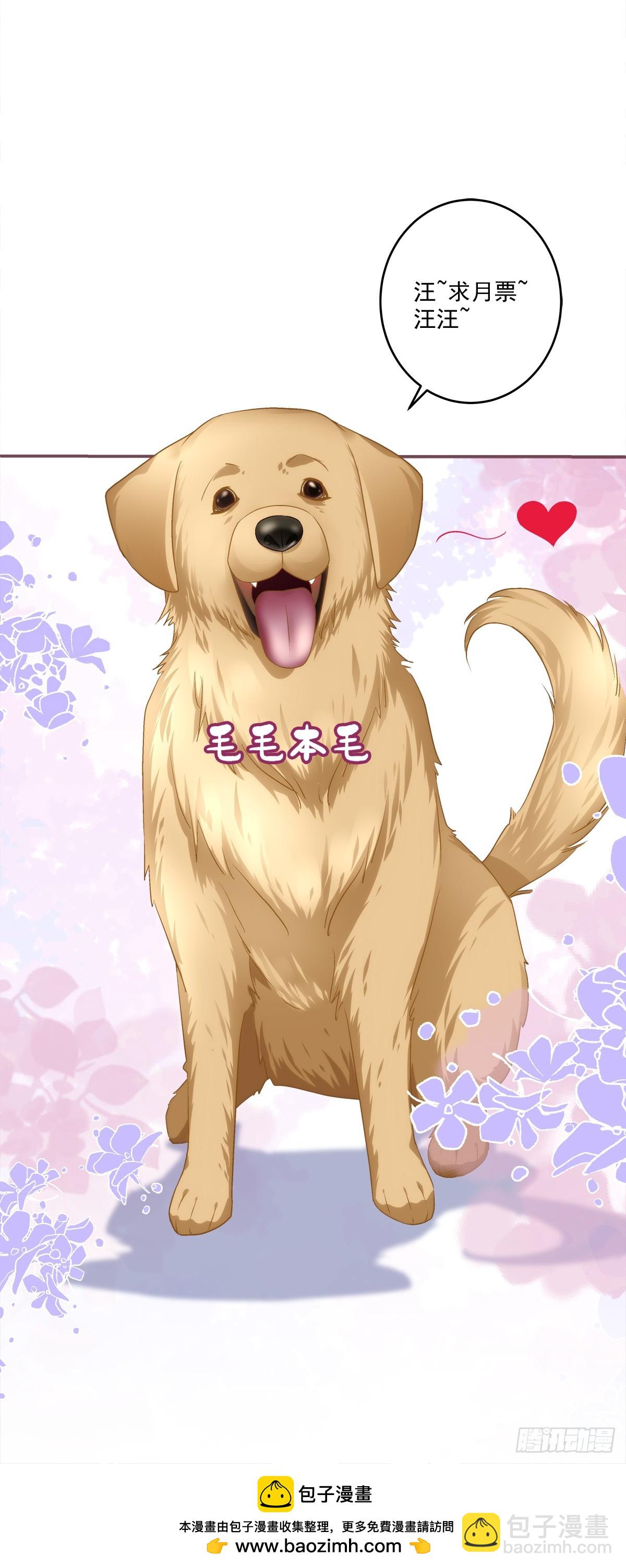 又见洛青芒！-第77话