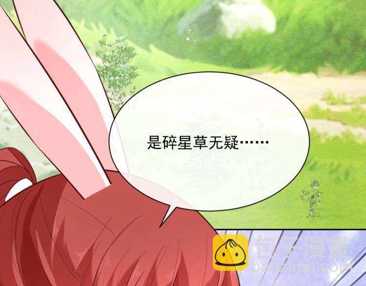 第19话 蠢兔子竟是天才？！(1/3)-第21话