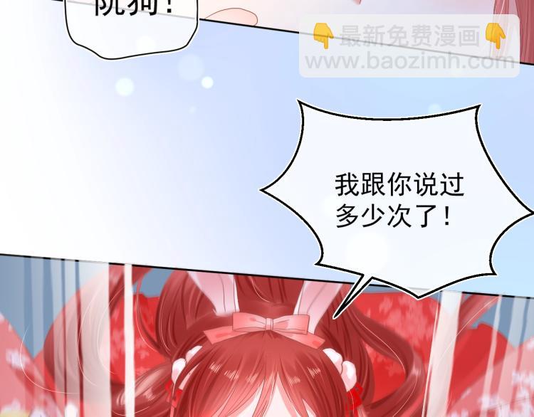 第3话 不要抱我尾巴！(1/2)-第5话