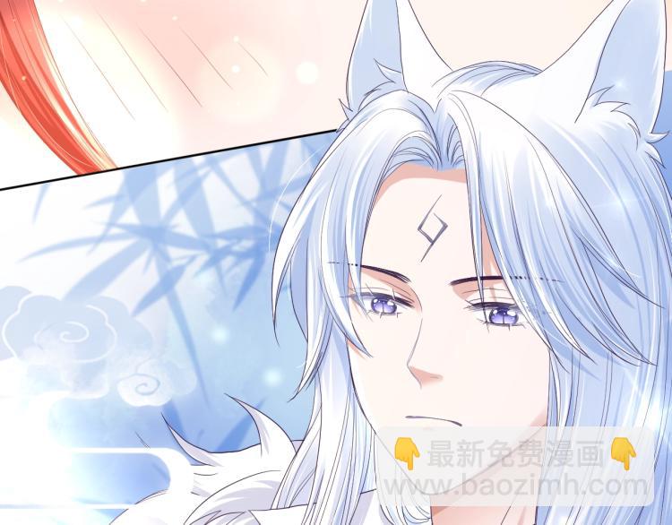 第3话 不要抱我尾巴！(1/2)-第5话