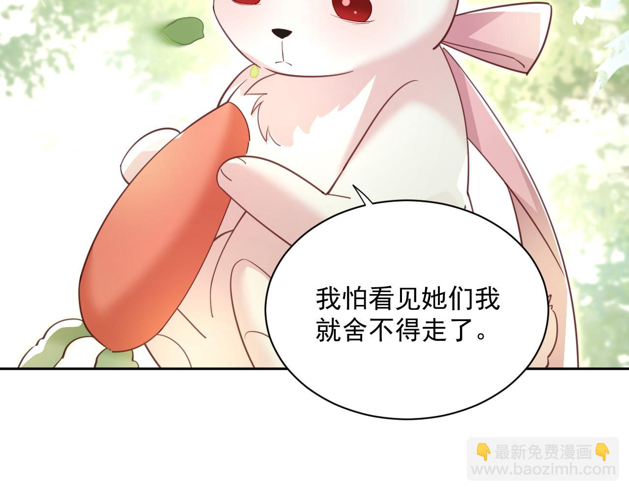 第69话 兔子，跟我回家(1/2)-第71话