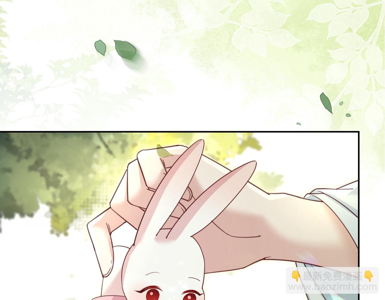第69话 兔子，跟我回家(1/2)-第71话