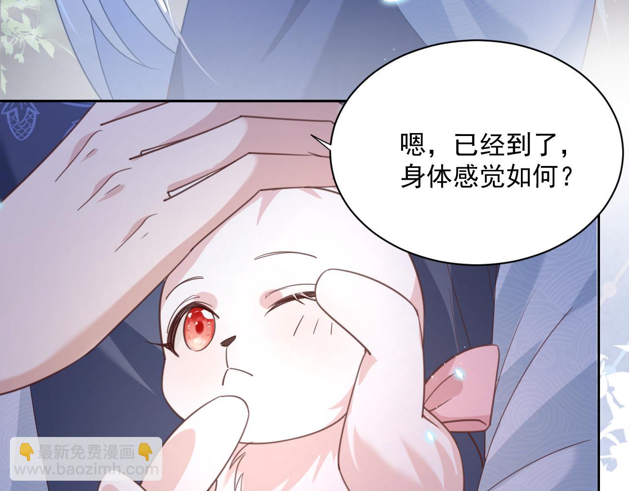 第69话 兔子，跟我回家(1/2)-第71话