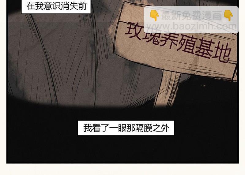 情人节：玫瑰恋人-第23话