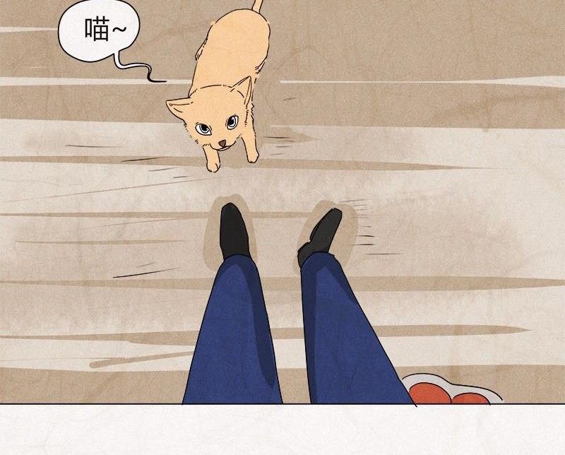 特别篇 瓮女正篇 1-第29话