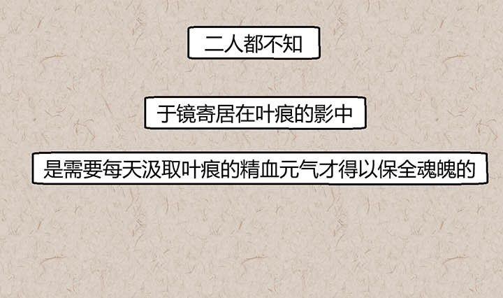 中秋节：月下疏影客(1/2)-第37话