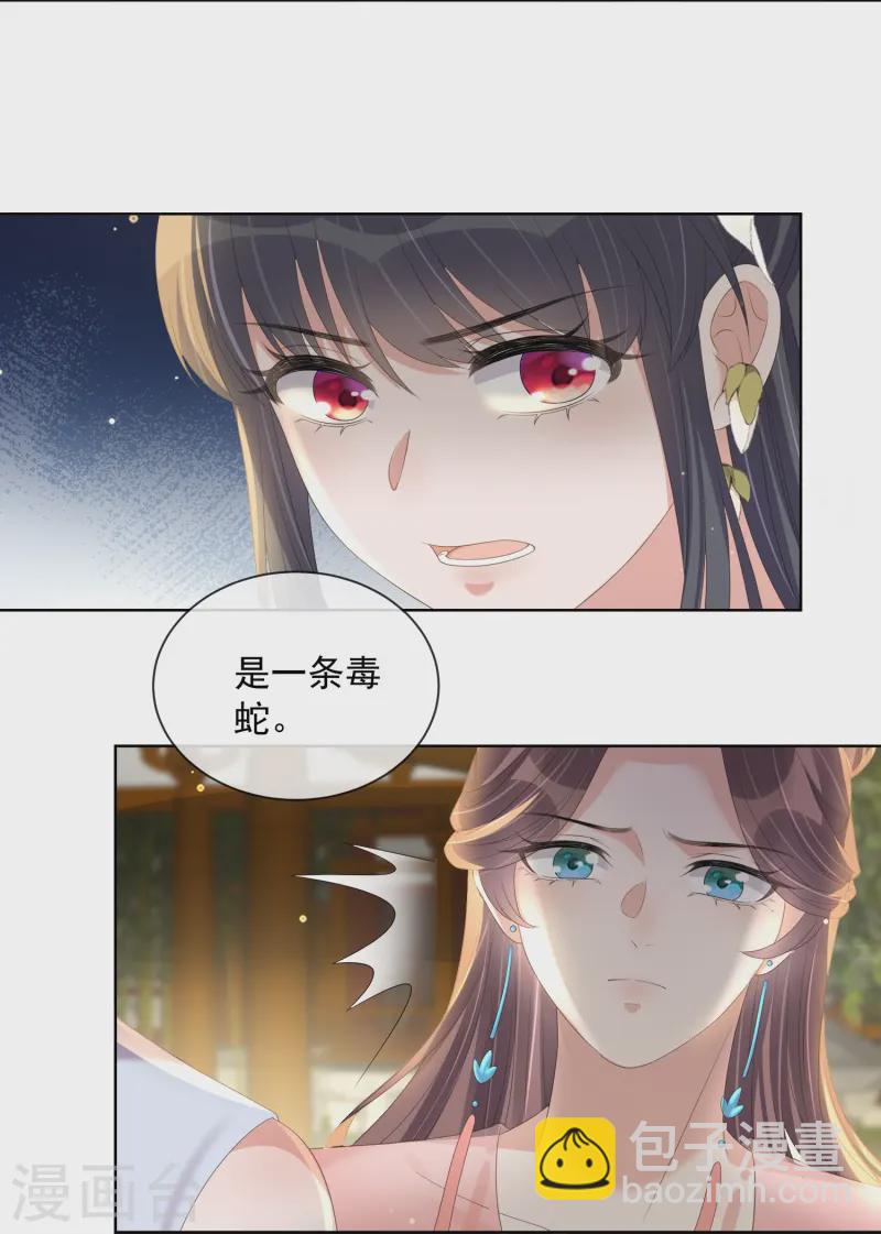 黑蓮花學習手冊 - 第155話 她可是一條毒蛇 - 6