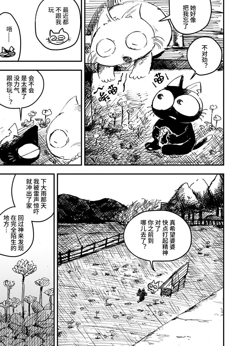 黑貓小小的一生 - 第21話 - 1