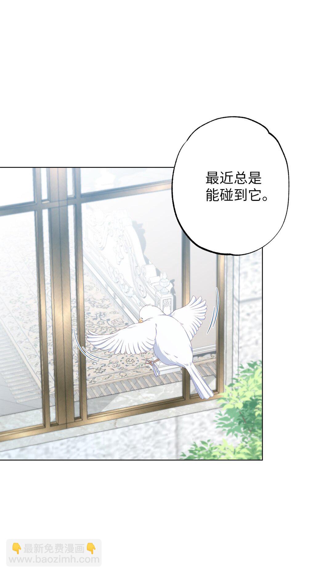 55 神明的礼物(1/2)-第55话