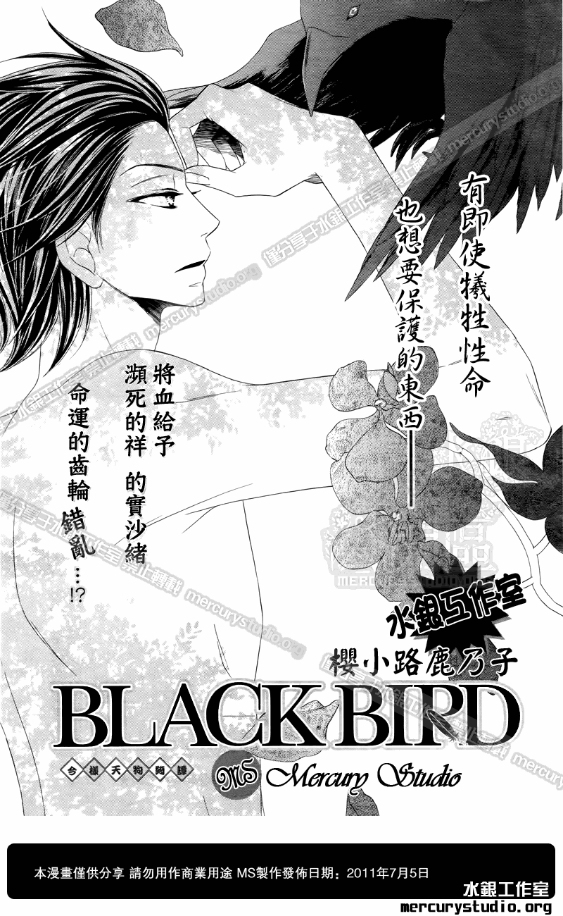 黑鳥戀人(BLACK BIRD) - 第51話 - 1