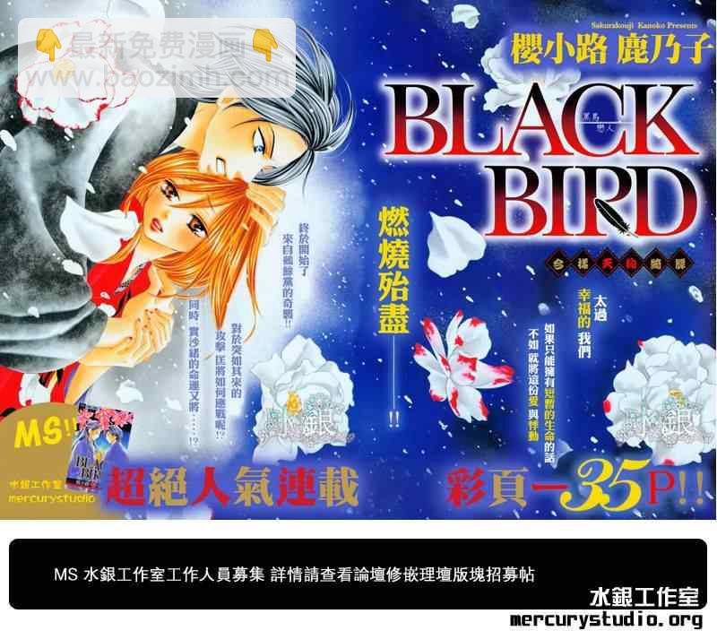 黑鳥戀人(BLACK BIRD) - 第59話 - 2