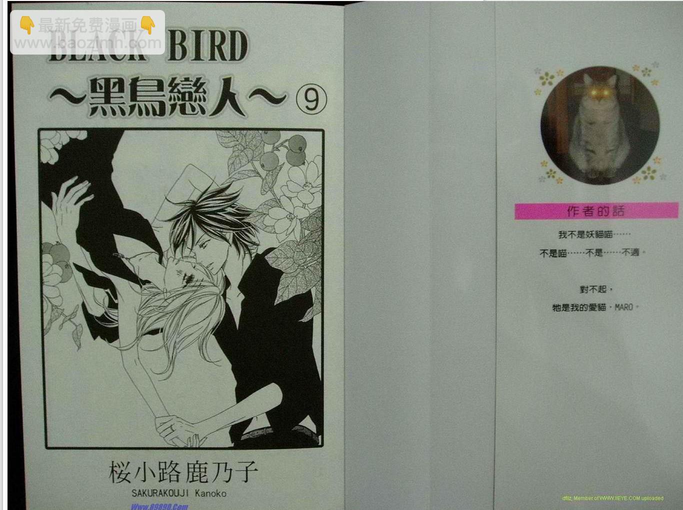 黑鳥戀人(BLACK BIRD) - 第9卷(1/2) - 2