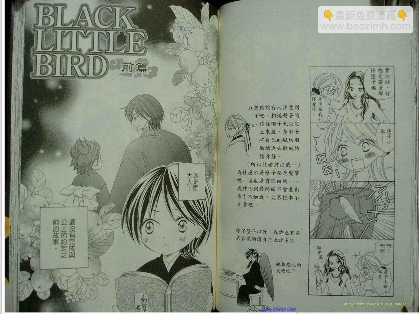 黑鳥戀人(BLACK BIRD) - 第9卷(2/2) - 1