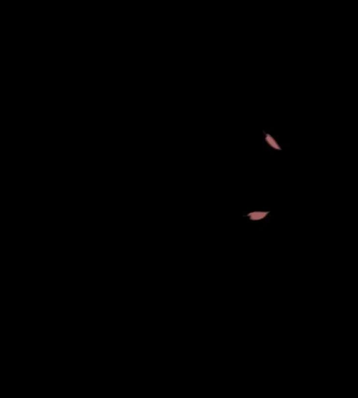 黑色冬季 - 第118話 外傳三(2/2) - 1