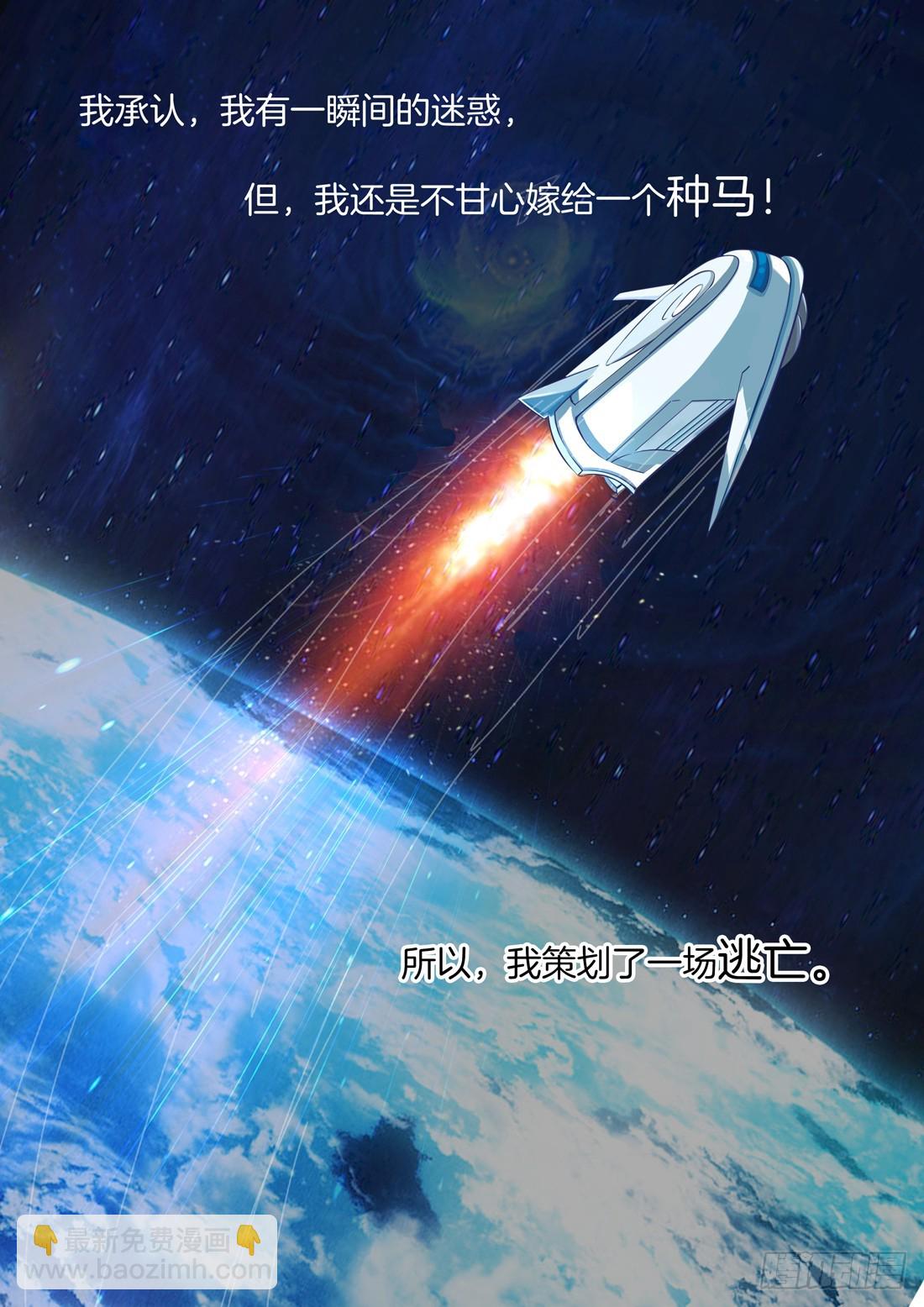 黑色豪门：溺宠小逃妻 - 第1话：离家出走的后果 - 2