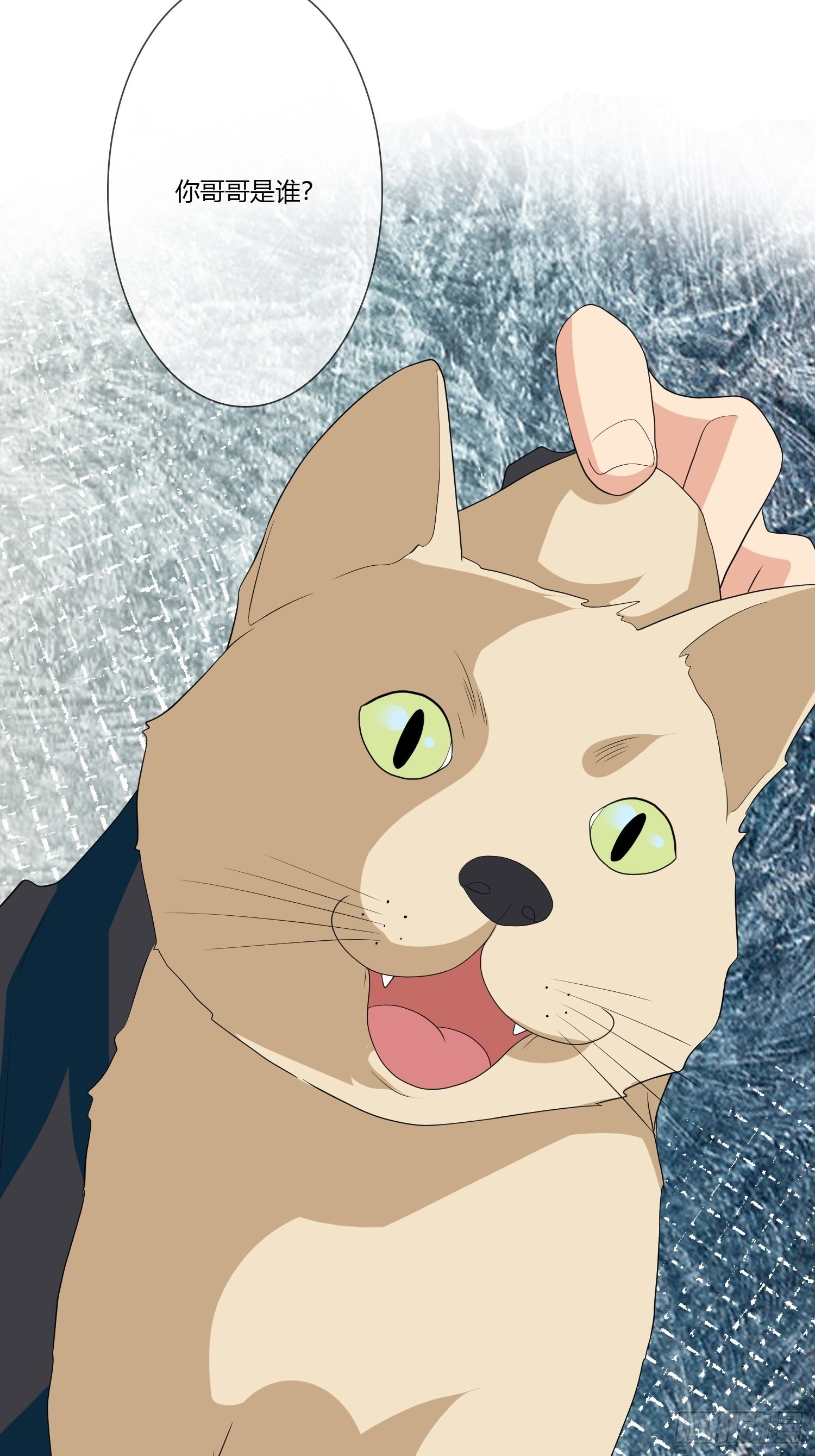 宠物翻译(1/2)-第15话