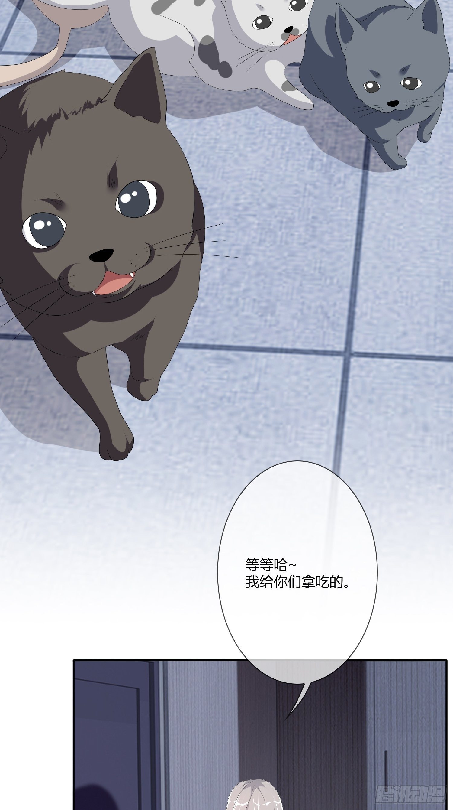 宠物翻译(1/2)-第15话