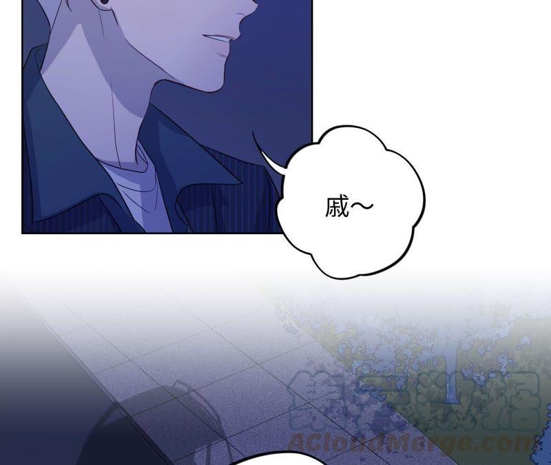 第67话 蚊子的计谋(1/2)-第69话