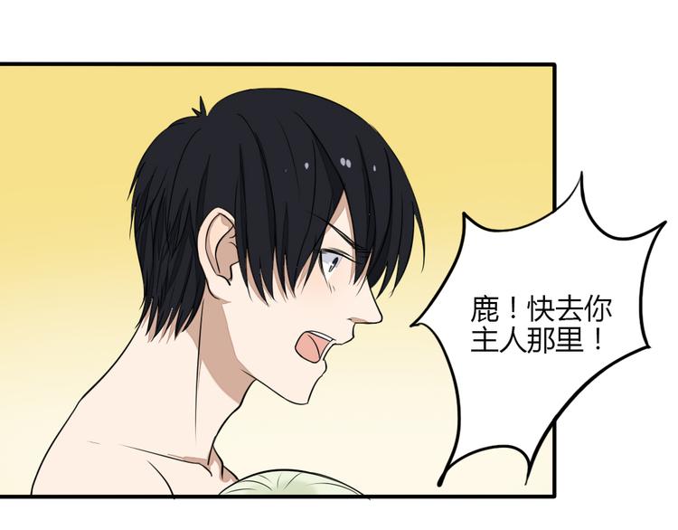 第28话 菲妮遭遇不测(1/2)-第27话